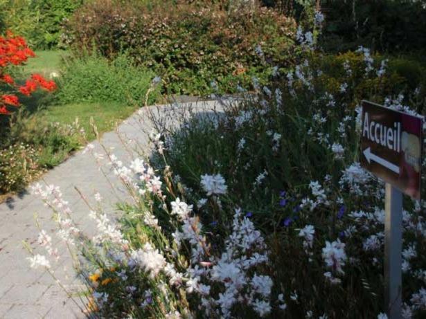 Au Pré Carré Plumergat Exterior foto